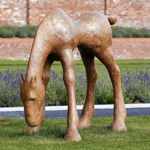 Anthony Scott, Etain 2023