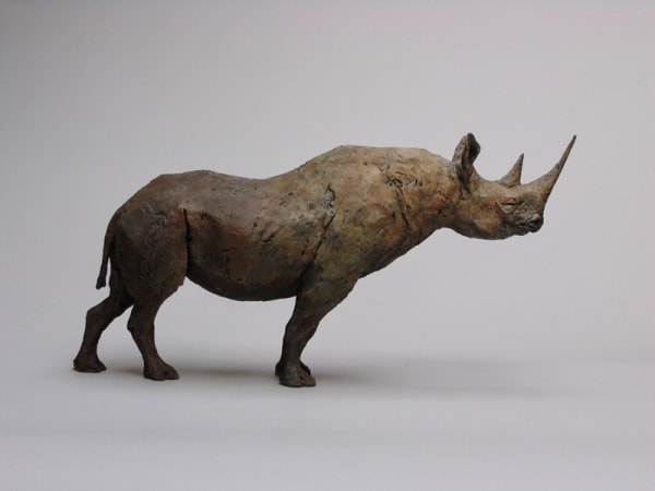 Nichola Theakston, Still Rhino