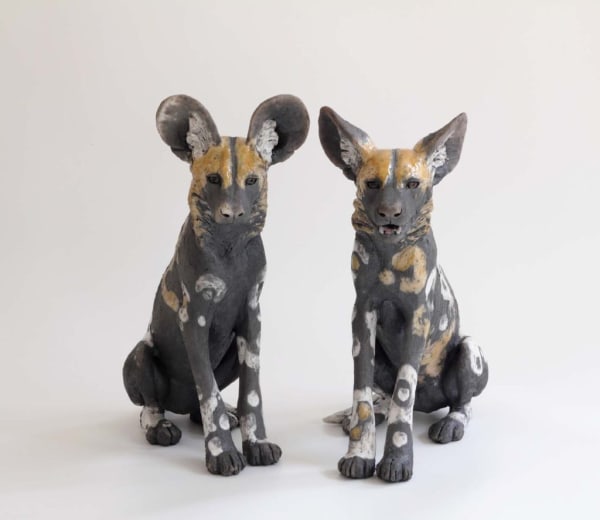 Nick Mackman, Wild Dogs