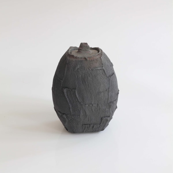 Patricia Shone, 9. Lidded Rock Face Jar
