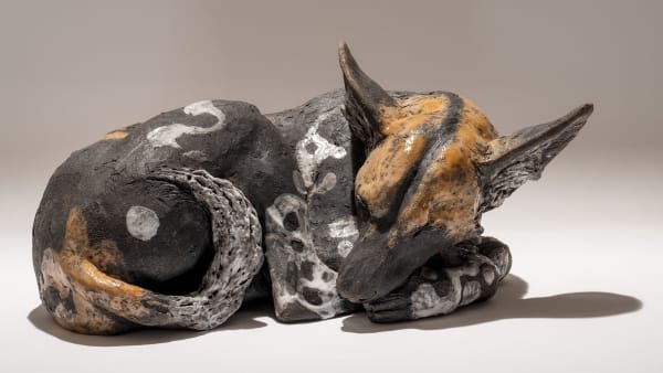 Nick Mackman, Wild Dog lying 1 (sleeping)