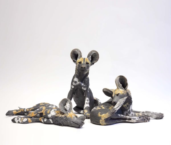 Nick Mackman, Wild Dogs