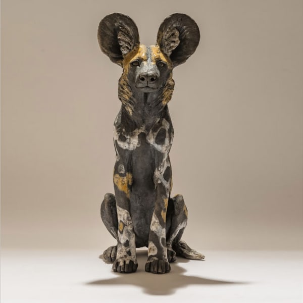 Nick Mackman, Wild Dog 4