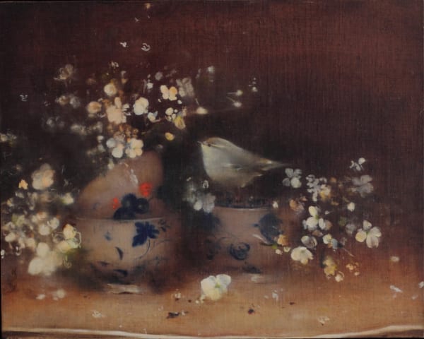 Linda Felcey, Fortuna