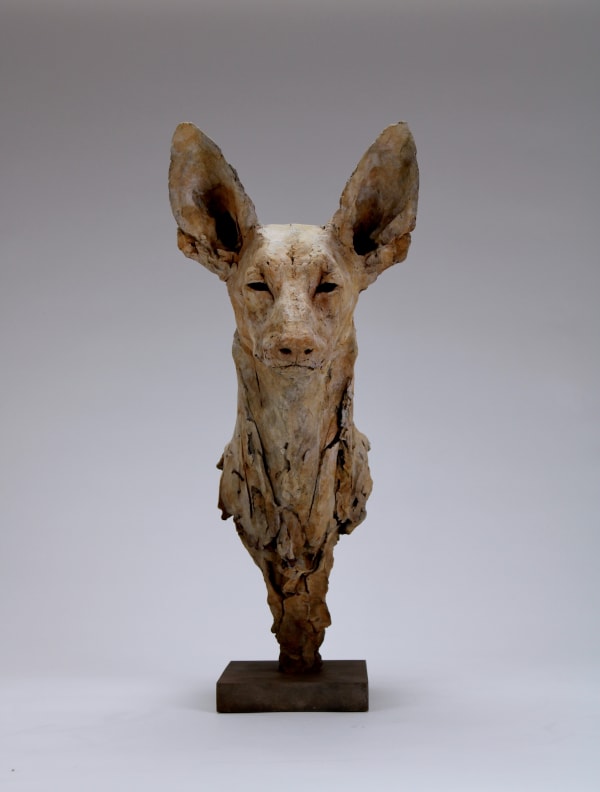 Nichola Theakston, Pariah