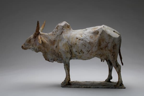 Nichola Theakston, Sacred Cow