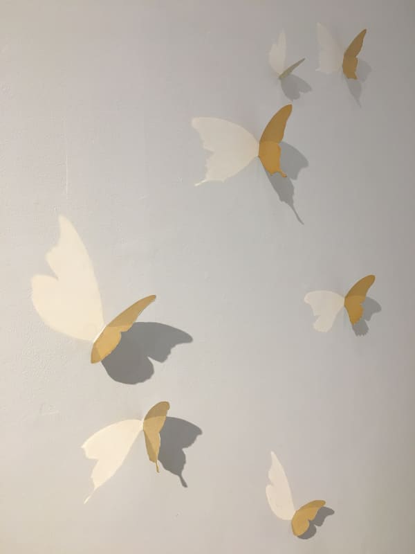 Barnaby Hosking - A Whiter Shade of Pale, 2015