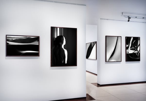 Anima - Christian Cravo