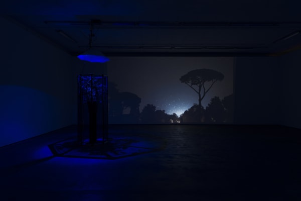 Hberrada Artdoc Wentrup29102015 0083