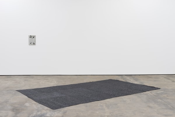 Tgood Wentrup Exhibit Doc 02 02 2015 0043