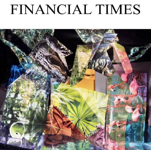 Anastasia Samoylova | Financial Times