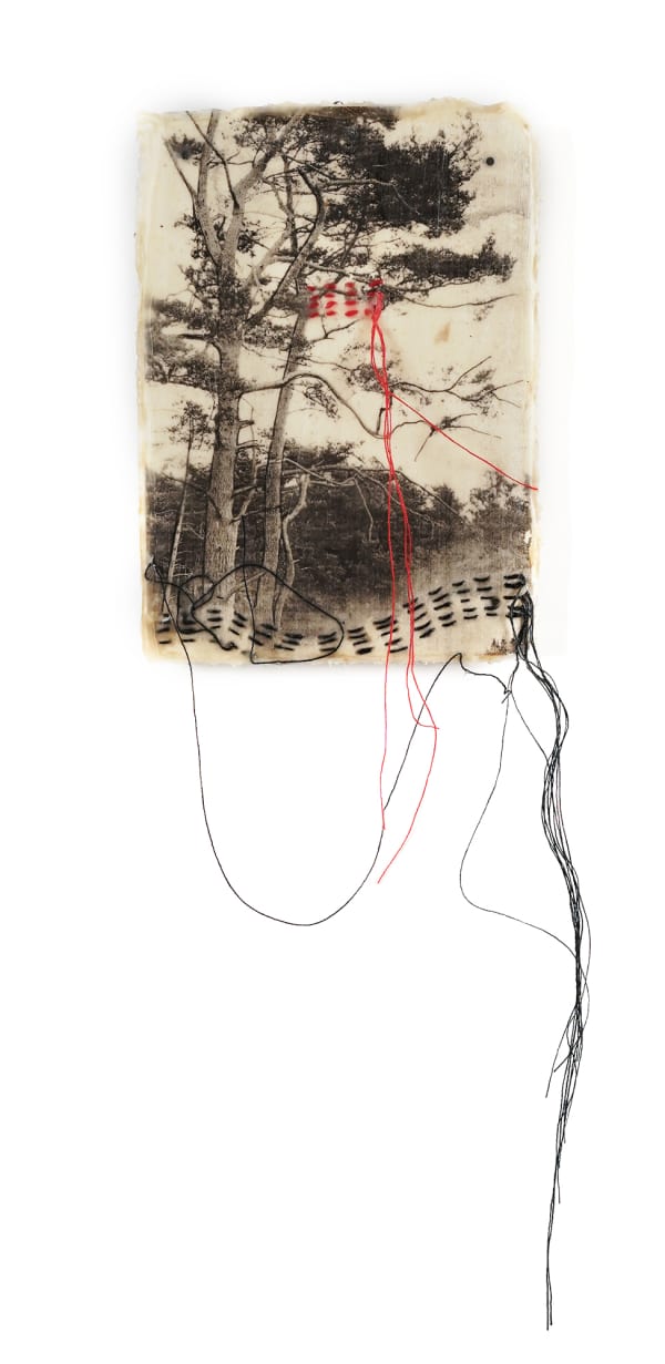 Jackie Mulder - Thought Trails 86