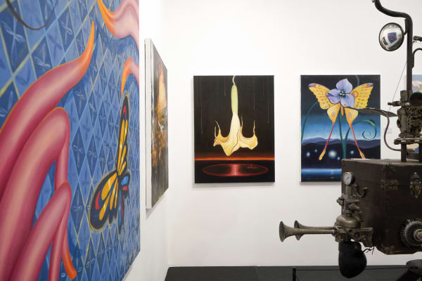Beijing Dangdai Art Fair 2024
