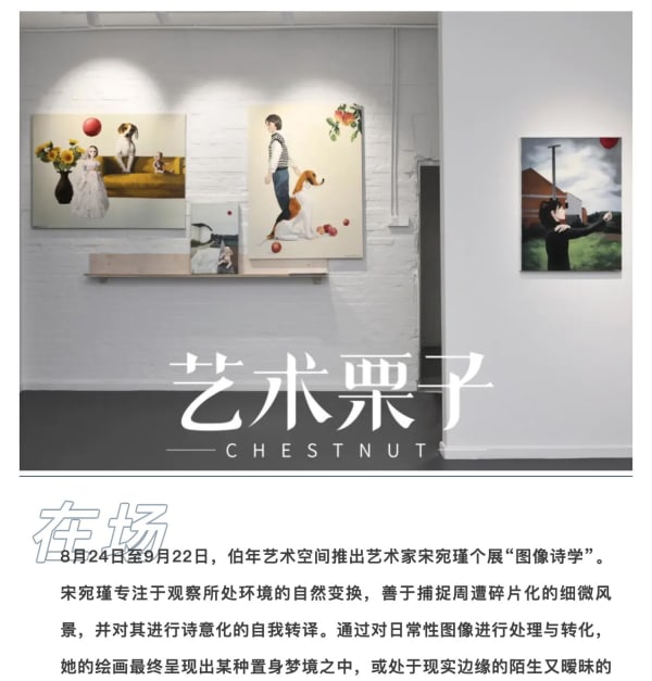 日常的经典化——宋宛瑾绘画中的个人叙事
