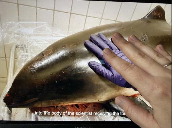 Laura Cull Ó Maoilearca, 2025, Intimate gestures / An archive of touch, photo series in response to We Are All Mothers