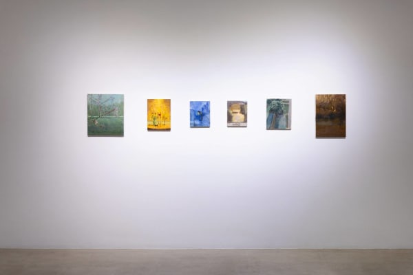 Sebasti N Espejo Compressed