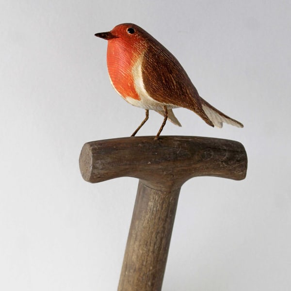 18 Robin Insta