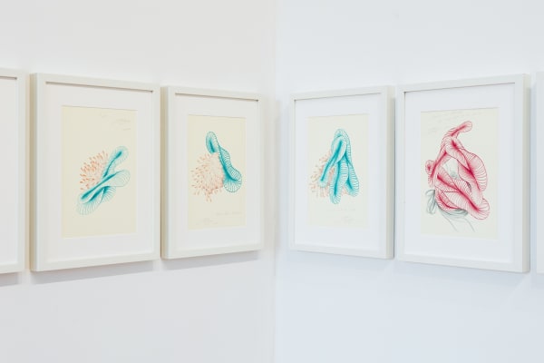 Documentation 2 02 23 Fot Jerzywypych 101