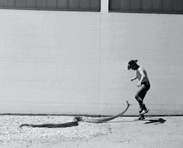 Francois Visser, The Namib Cowboy #1, 2020