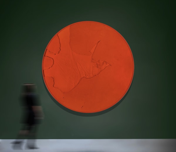 Art Miami 2024