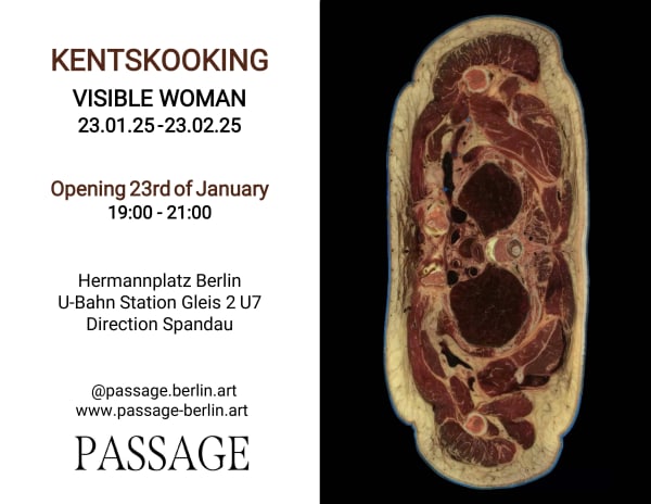 VISIBLE WOMAN Kentskooking