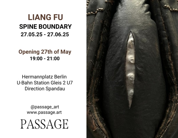 SPINE BOUNDARY Liang Fu