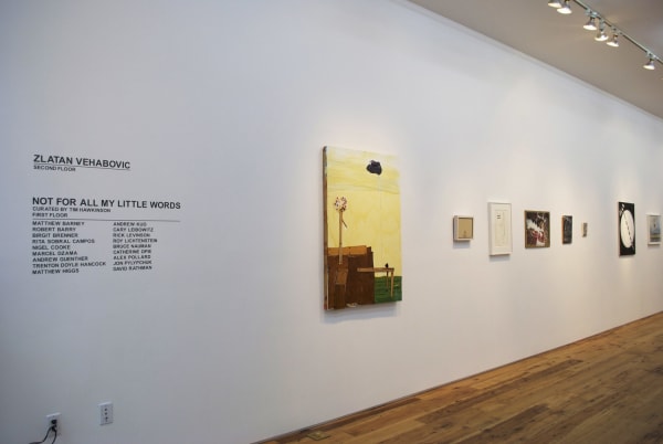 Not For All My Little Words