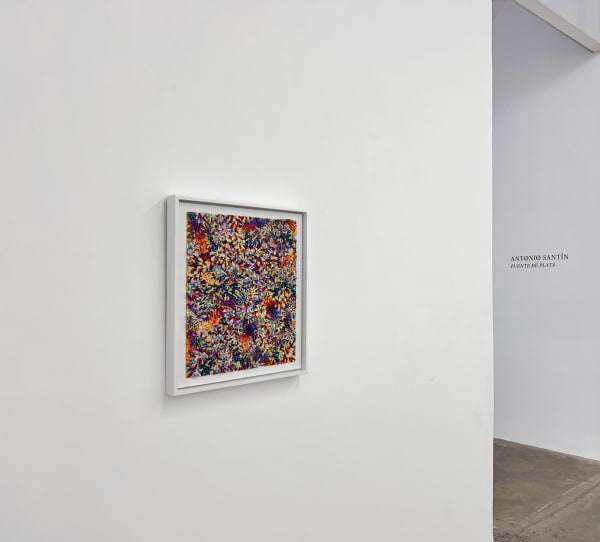 Photo Courtesy: Martina Scala