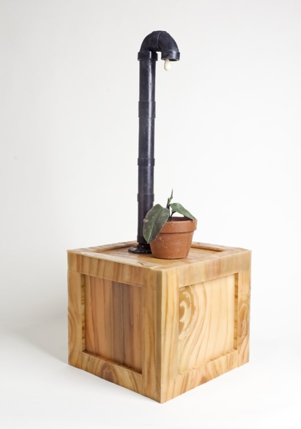 Jeanne Silverthorne, Rubber Rubber Plant with Drip, 2009