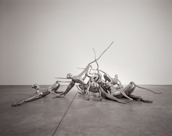 Rona Pondick, Monkeys, 1998–2001