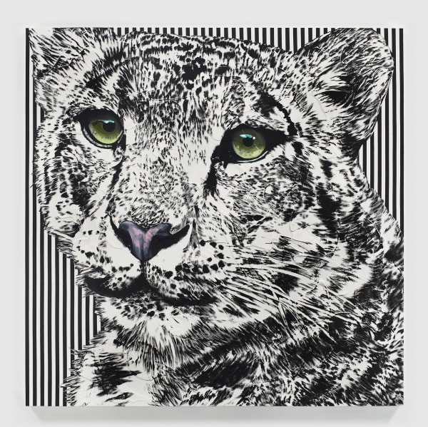 John Newsom, Timeless Motif, 2020