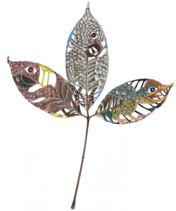 Non-endemic Bird Artwork by Chang Yoong Chia