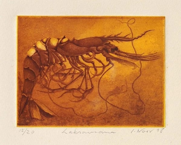“Laksamana” from Ilse Noor’s Prawn series.