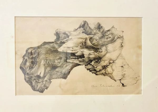 The Tree Stump, pencil drawing on paper, 1956.