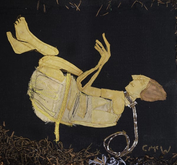Catherine McWilliams SRUA, A Tollund Man