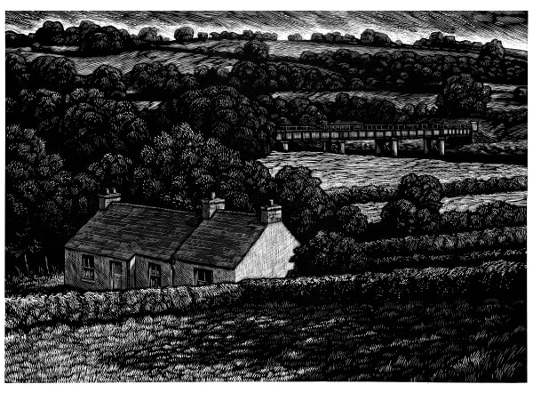 Brian Gallagher, Bridge