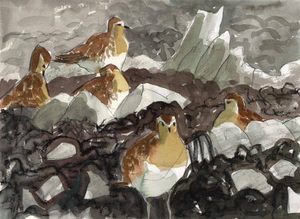 Adele Pound, Golden Plover Amongst the Seaweed