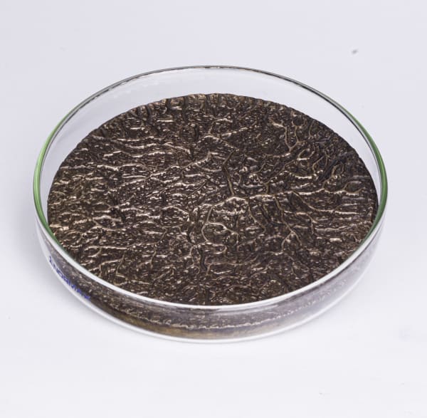 Michael Geddis, Caley's Beautiful Quantum Tree