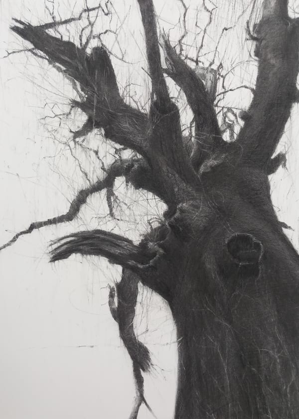 Leila Henry, Dúirlin