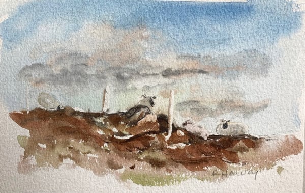 Ros Harvey SRUA, Sheep May Gently Graze