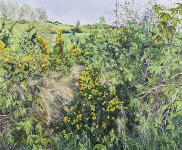 Emma Spence ARUA, It Should Be Dry Enough