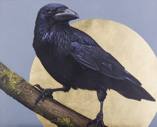 Helena Rogan, Luna Corvina