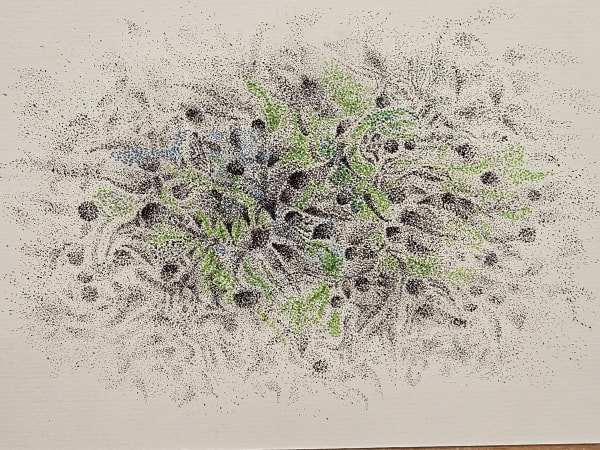 Carolyn Mulholland SRUA, Spring Doodle