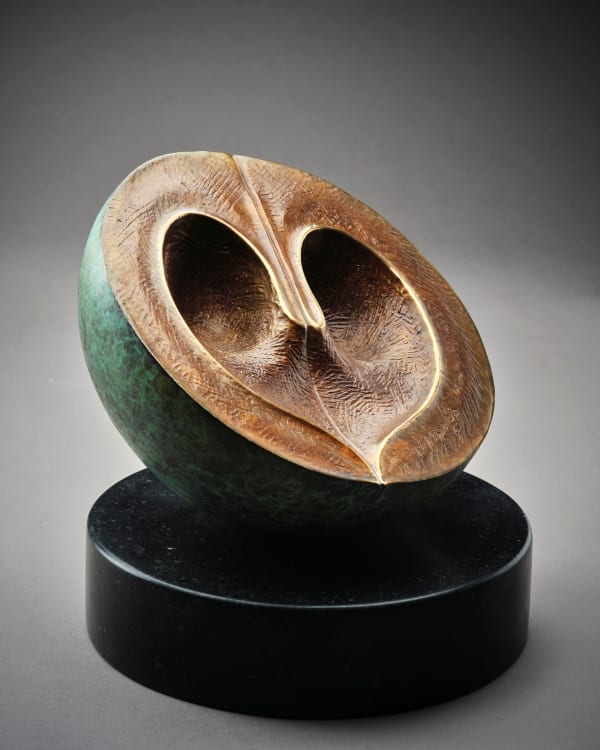 Richard Healy, Found Heart