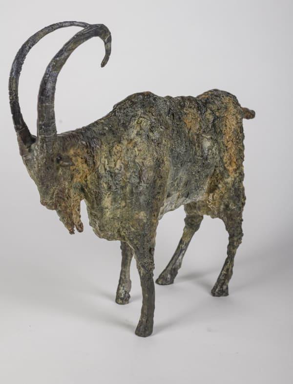 Cheryl Brown, Irish Goat