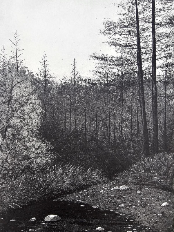 Sarah Lee-Byrne, A Place of Solitude
