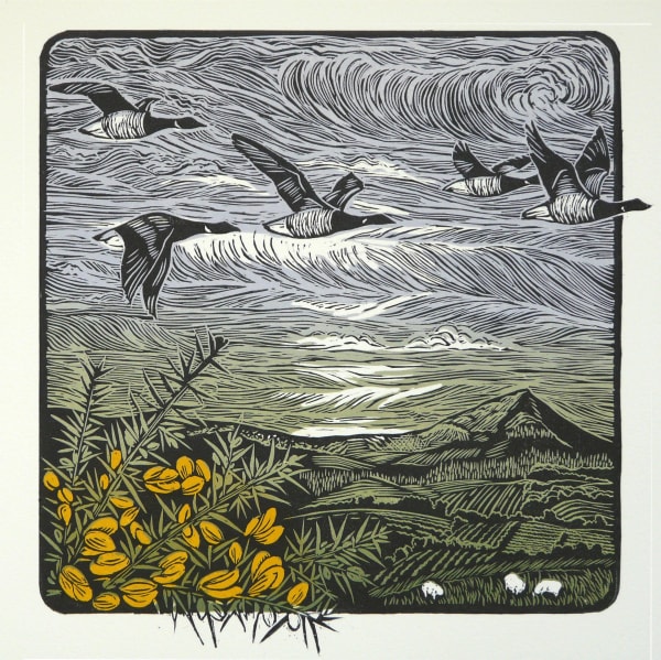 Fran Keegan, Brent Geese