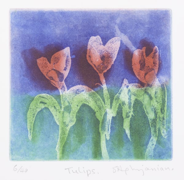 Sophie Aghajanian SRUA, Tulips
