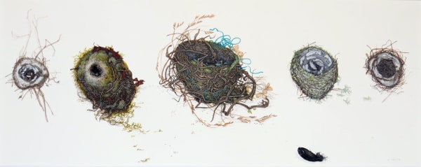 Betty Christie, Fallen Nests, found after the Storms