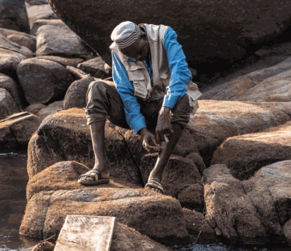 Yusuf Ahmed: The Fly Collectors